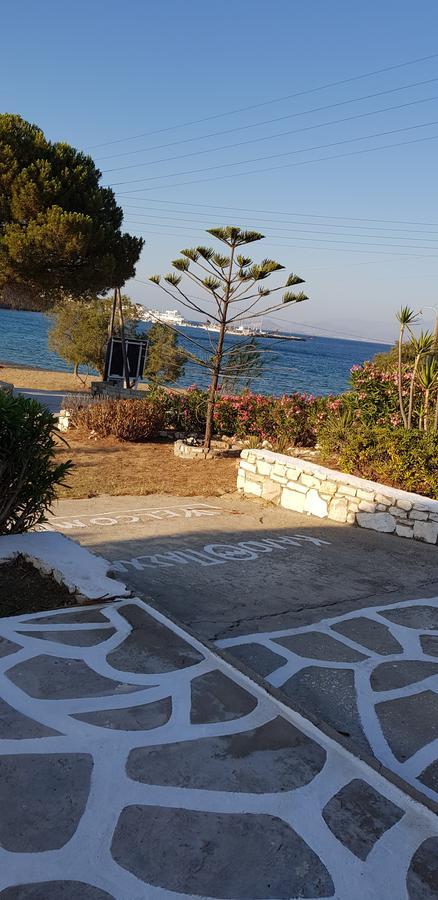 Ragoussis House Daire Logaras Dış mekan fotoğraf